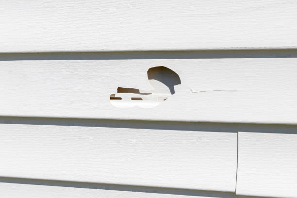 Professional Siding Installation & Repair in Dunellen, NJ